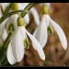20080224_071